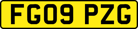 FG09PZG