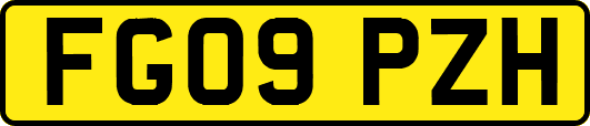 FG09PZH