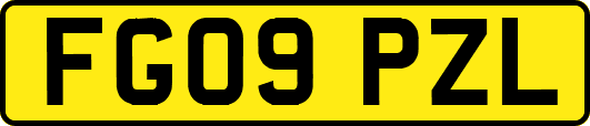 FG09PZL
