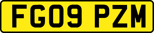 FG09PZM