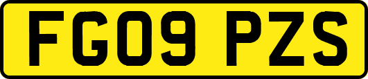 FG09PZS
