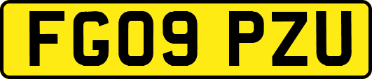FG09PZU