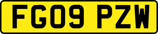 FG09PZW