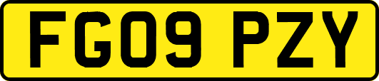 FG09PZY