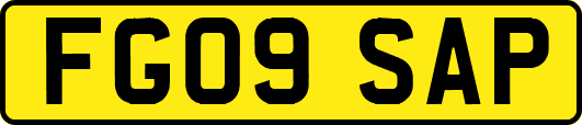 FG09SAP
