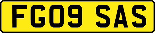 FG09SAS