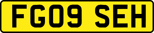 FG09SEH
