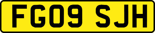 FG09SJH