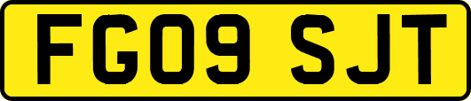 FG09SJT