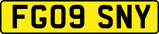 FG09SNY