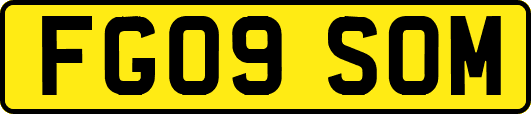 FG09SOM
