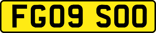 FG09SOO