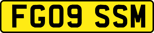 FG09SSM
