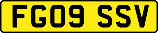 FG09SSV