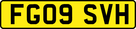 FG09SVH
