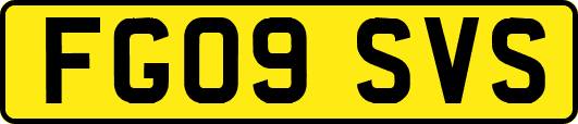FG09SVS