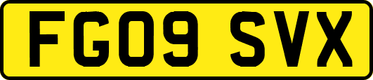 FG09SVX