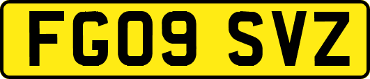 FG09SVZ