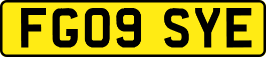 FG09SYE