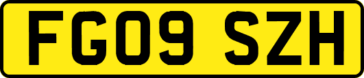 FG09SZH