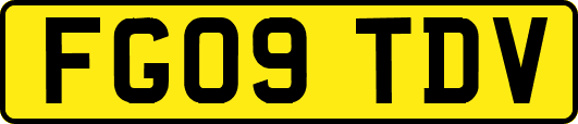 FG09TDV