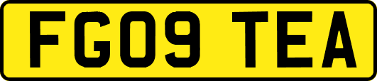 FG09TEA