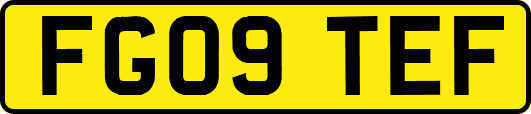 FG09TEF