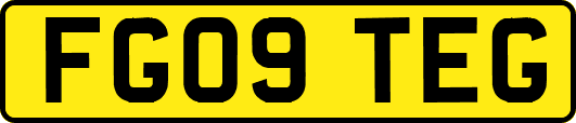 FG09TEG