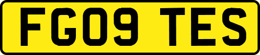 FG09TES