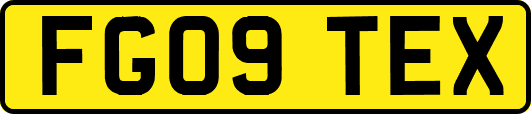 FG09TEX