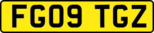 FG09TGZ