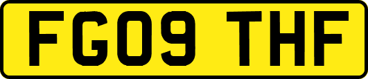 FG09THF