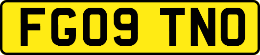 FG09TNO