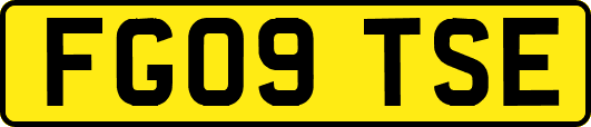 FG09TSE