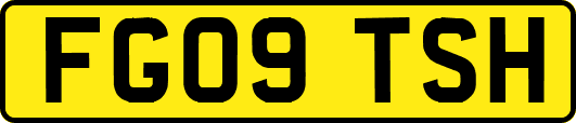 FG09TSH