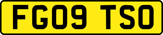 FG09TSO