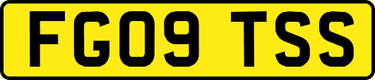 FG09TSS