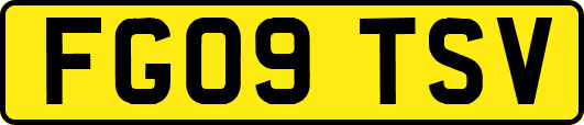 FG09TSV