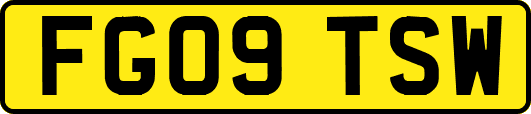 FG09TSW