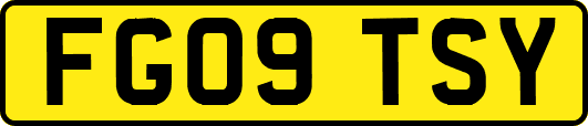 FG09TSY