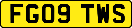 FG09TWS