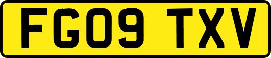 FG09TXV