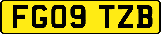 FG09TZB
