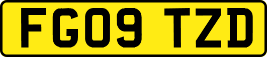 FG09TZD