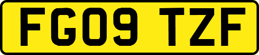 FG09TZF