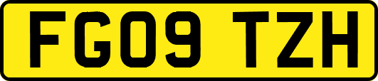 FG09TZH