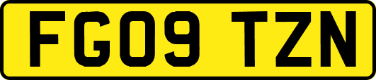 FG09TZN