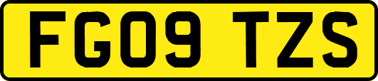 FG09TZS
