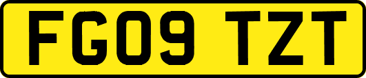 FG09TZT