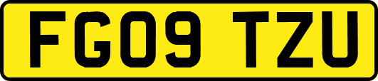FG09TZU